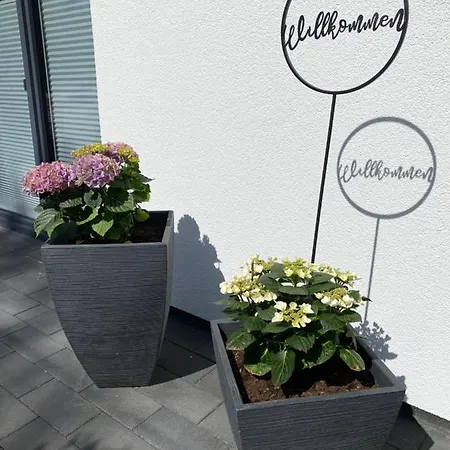 Ferienwohnung Im Dhrontal Grafendhron Exterior foto
